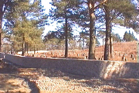 Druya Jewish cemetery